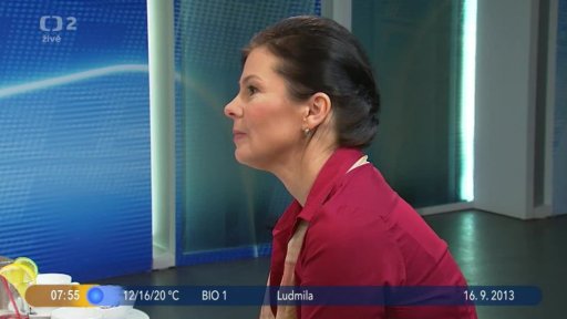 Hosté Z. Lapčíková a M. Doubravová