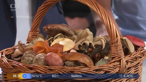 Beseda: Rady a tipy pro houbaře