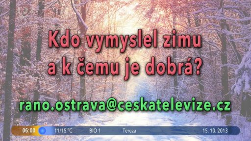 Přehled + Vyhodnocení otázky dne