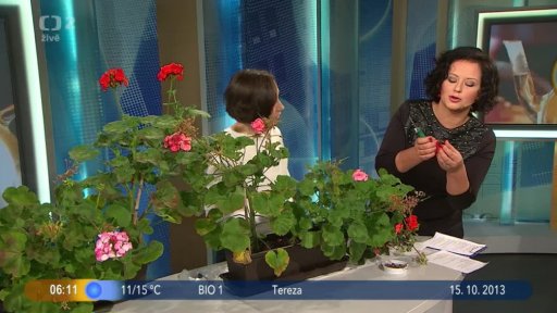 Beseda: Zimujeme truhlíky