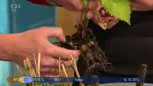 Beseda: Zimujeme truhlíky