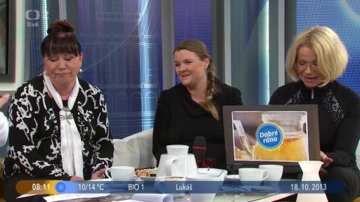 Hosté J. Asterová, D. Bláhová a M. Sajlerová