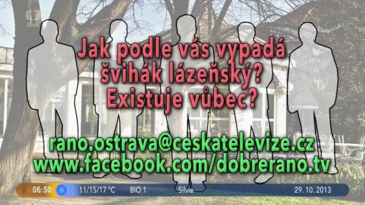 Novinky na internetu + Otázka dne