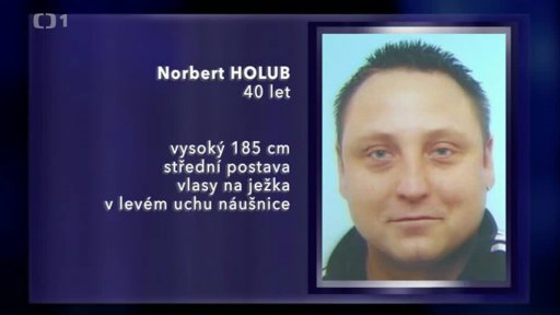 Podvodník s nemovitostmi