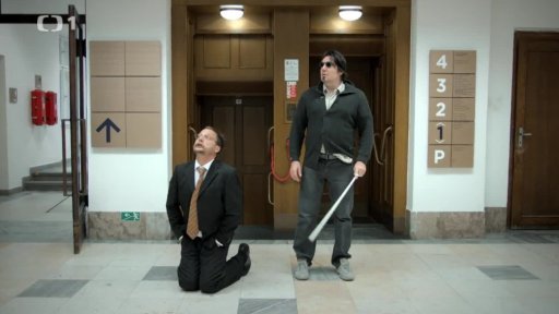 Pracák – slepec (II)