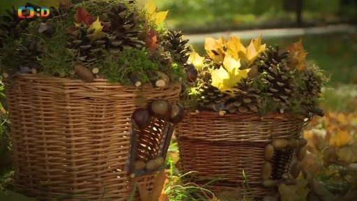 Domeček pro veverky