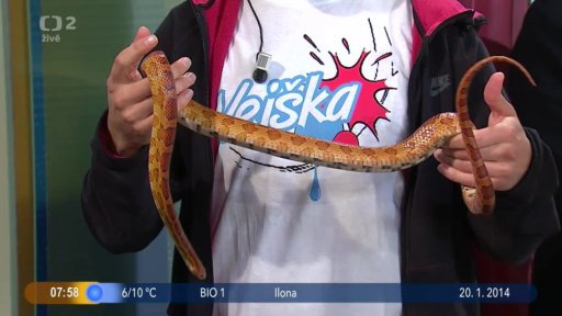 Beseda: Studijní obor chovatelství