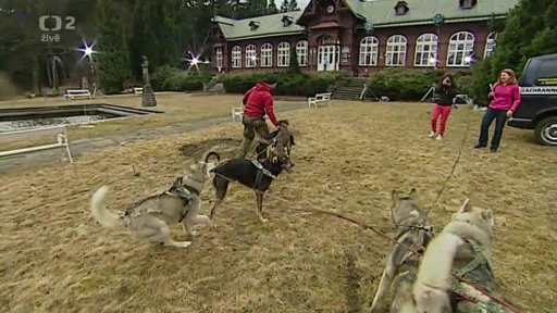 Beseda: Psí spřežení