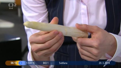 Připravujeme chřestové pochoutky