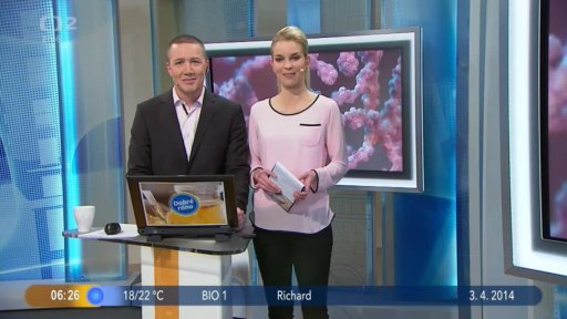 Otázka dne + Zprávy ze společnosti