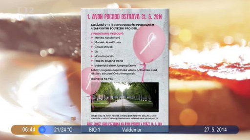 Beseda: Pochod proti rakovině prsu