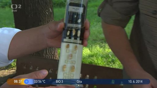 Beseda: Hrůza z hmyzu