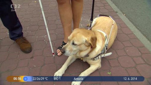 Beseda: Vodící psi