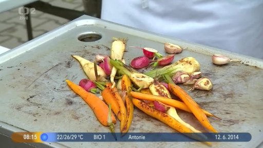 Finty na grilování