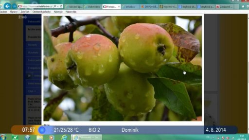 Otázka dne + Fotosoutěž