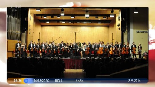 Aktualita: Hrajeme pro děti + Bleskovka