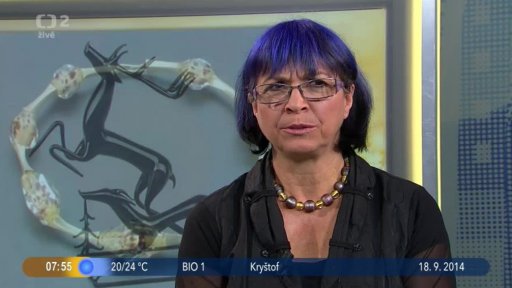 Beseda: Skleněné městečko