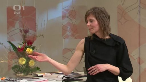 Móda a Psychologie módy - Lada Vyvialová