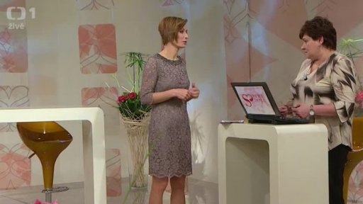 Pojištění domů a domácností (chat) - 1. část