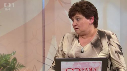 Pojištění domů a domácností (chat) - 2. část