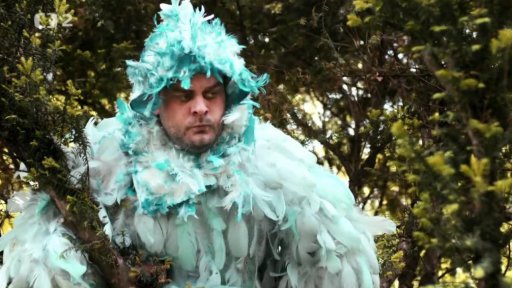 Dialog zpěvných ptáků