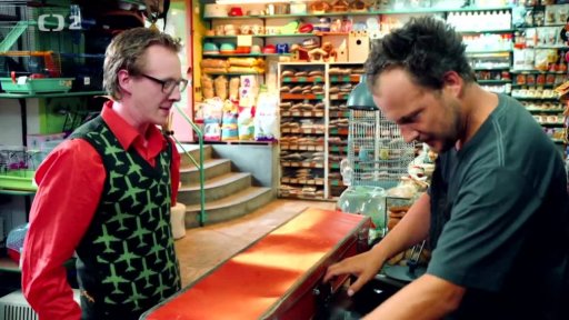 Zkracování jezevčíků