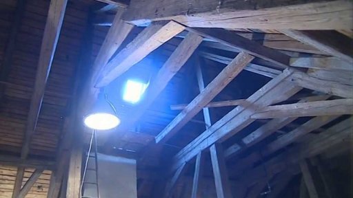 Nemají peníze na boj s dřevomorkou