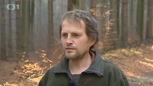 Sociální program Lesů ČR