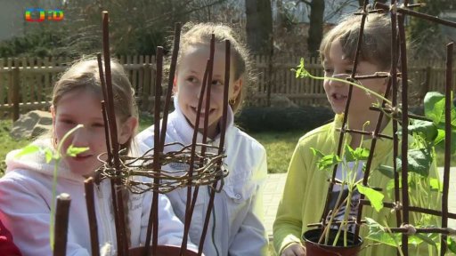 Mřížka do květináče