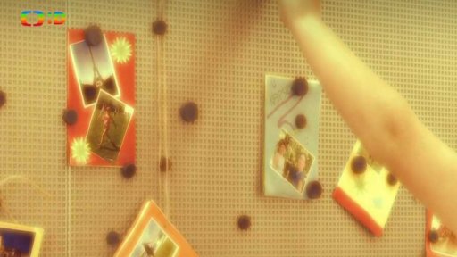 Cestovatelská taštička