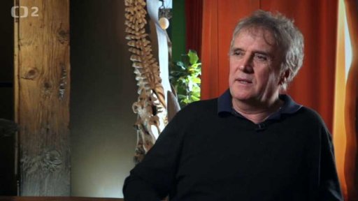 MTV Szeged: Nábytek jako sochařina