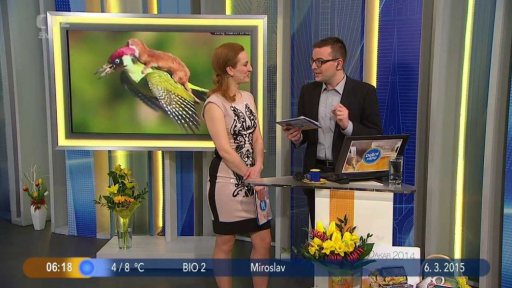 Otázka dne + Kulturní tipy