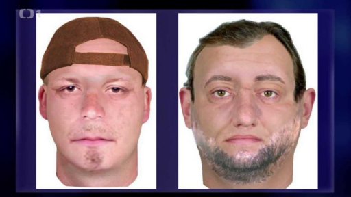 Hledaní násilníci