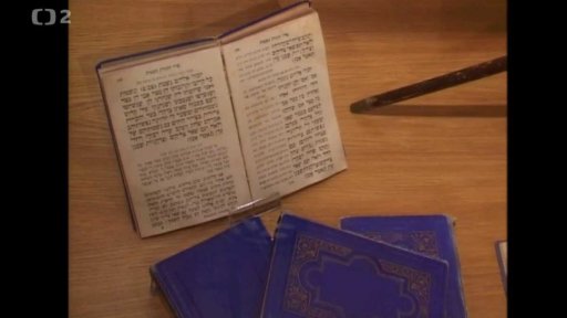 Muzea Šimona Adlera