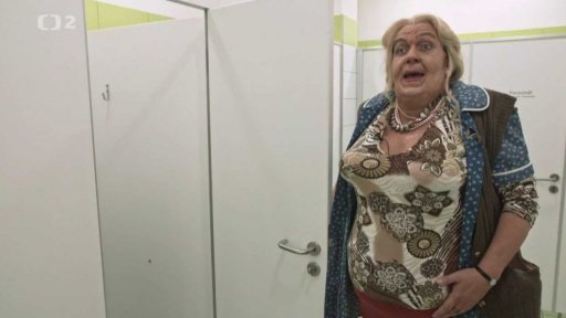 Zácvik nové toaletářky (III.)