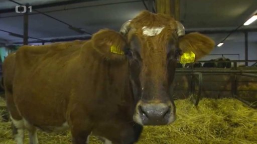 Dotace pro ekozemědělce