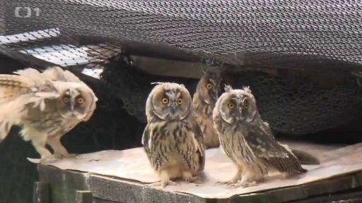 Záchranná stanice Bartošovice