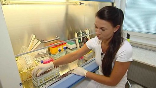 Testování sportovců