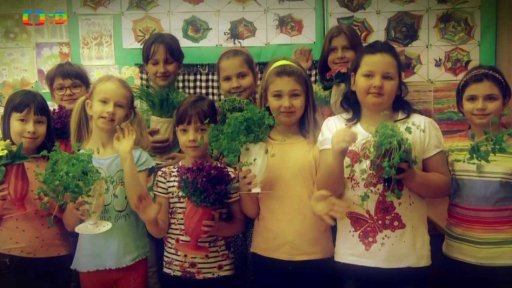 Květináč z pet lahve