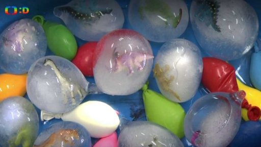 Dinosauří vajíčko