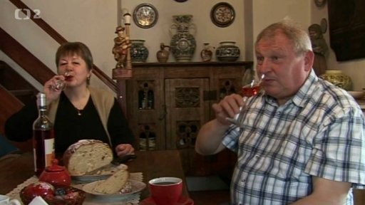 Mircea Dan Duta a Bohumír Kramper