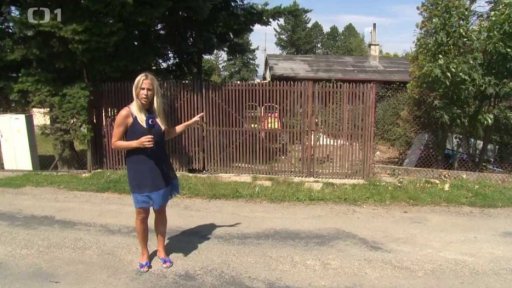 Péče o psí spřežení