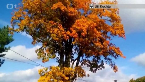 iReportér + soutěž