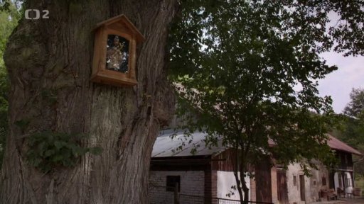 Památná lípa v Trávníčku