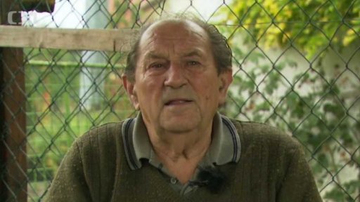 Dřeva se nedočkali