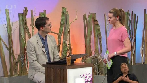 Lepek, cukr, sůl - 2. část