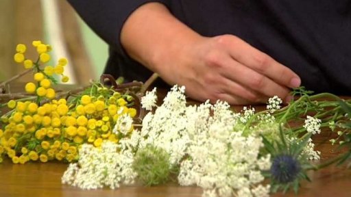 Kytice z lučního kvítí - 1. část + anketa