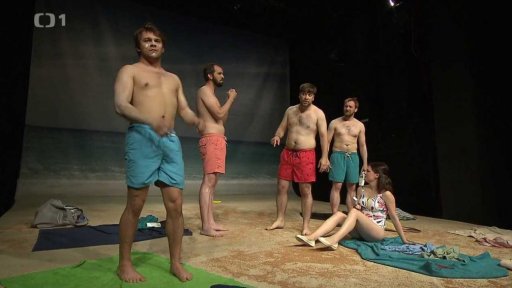 Nejsem rasista, ale...