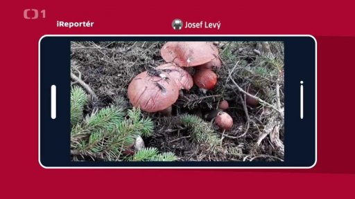 iReportér + soutěž