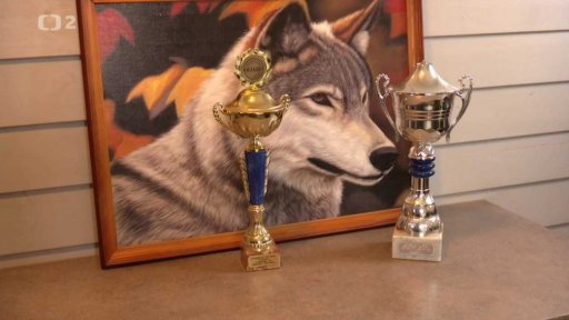 RTVS Banská Bystrica: Psí spřežení